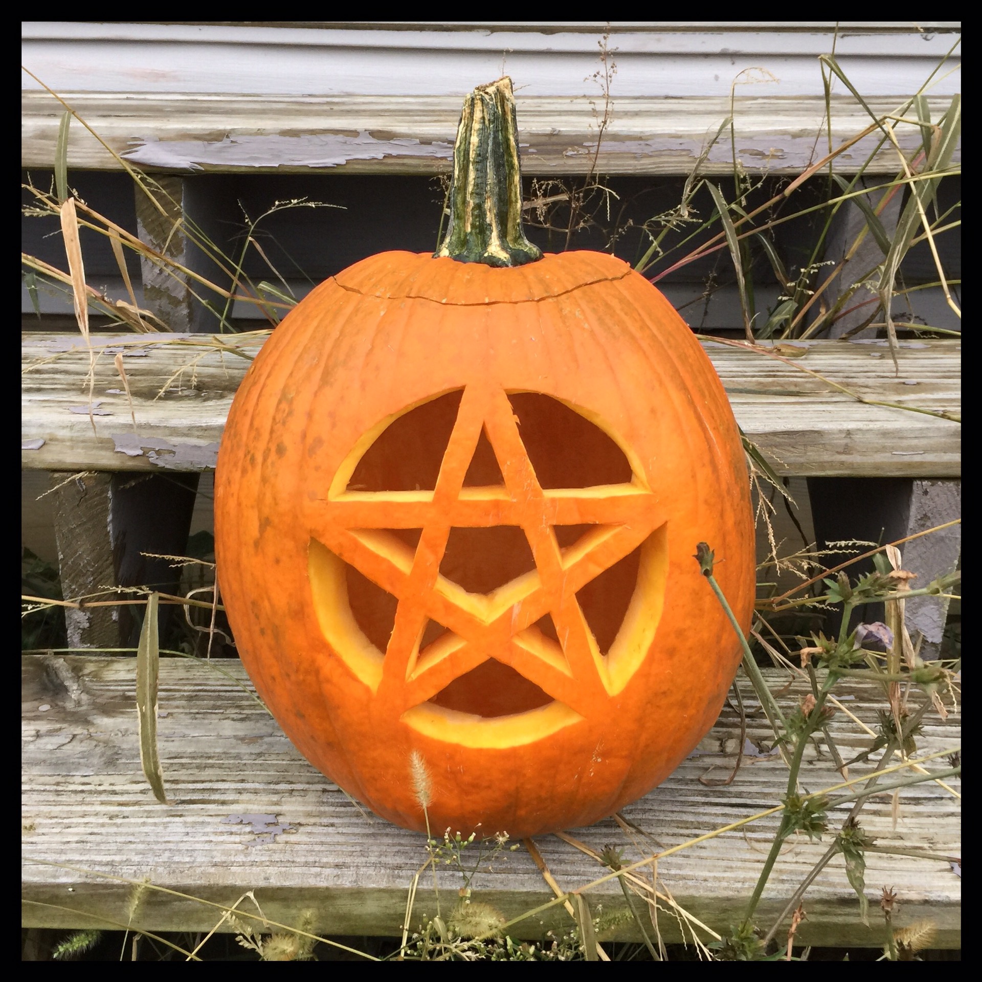 Halloween Pies Tarts Pentagram